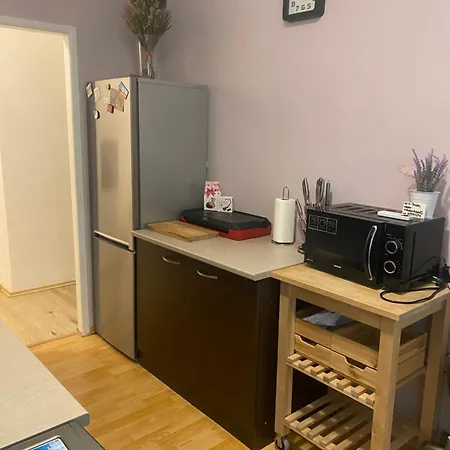 Pod Zamkem Apartment Breclav Exterior photo